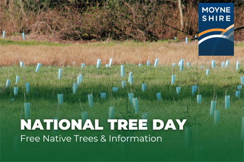 National Tree Day 2024.png